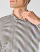 Classic Shirt Dark Olive Stripes Regular